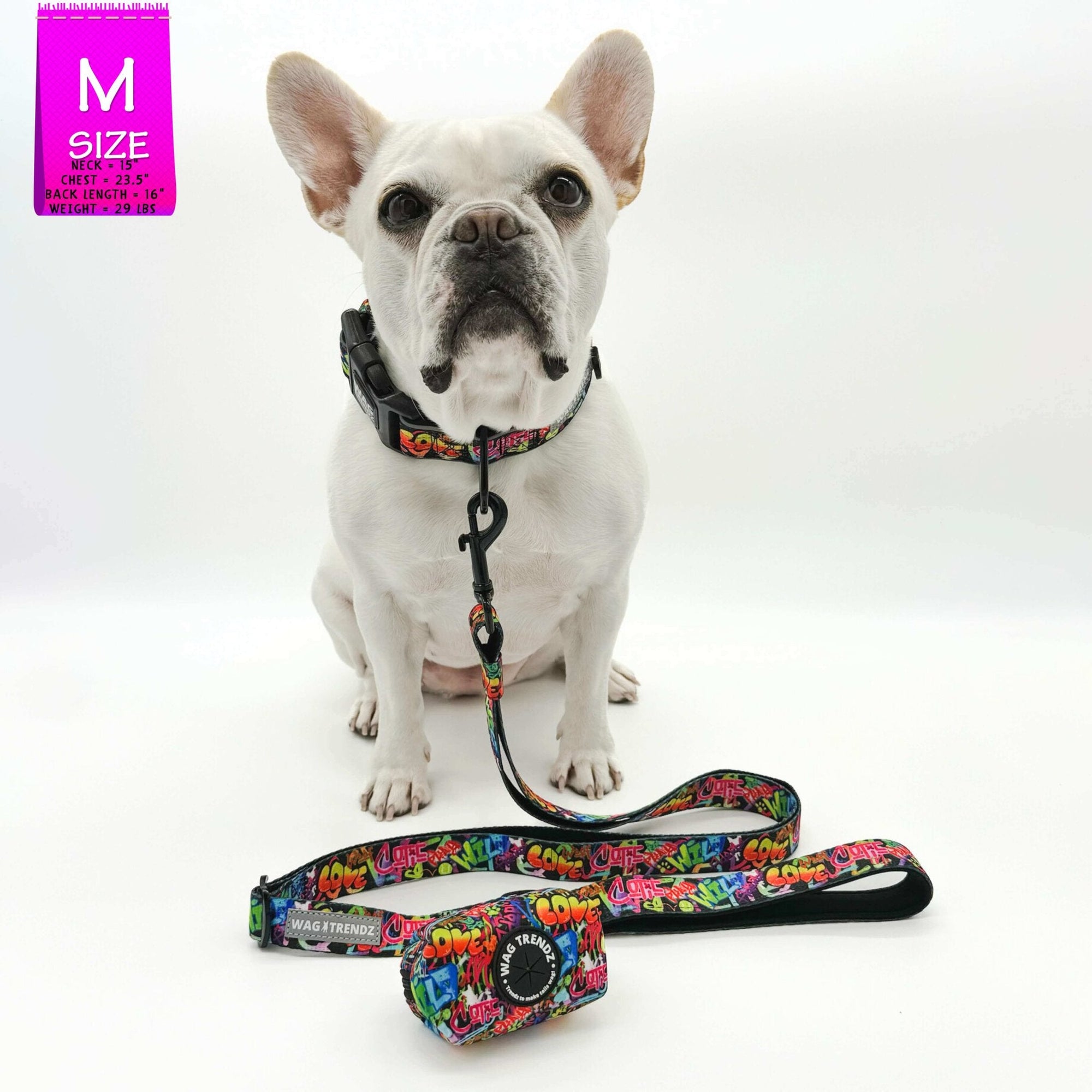 Reflective Dog Collar - Frenchie Bulldog wearing multicolored Street Graffiti Reflective Dog Collar size medium with matching leash and poop bag holder attached - against solid white background - Wag Trendz