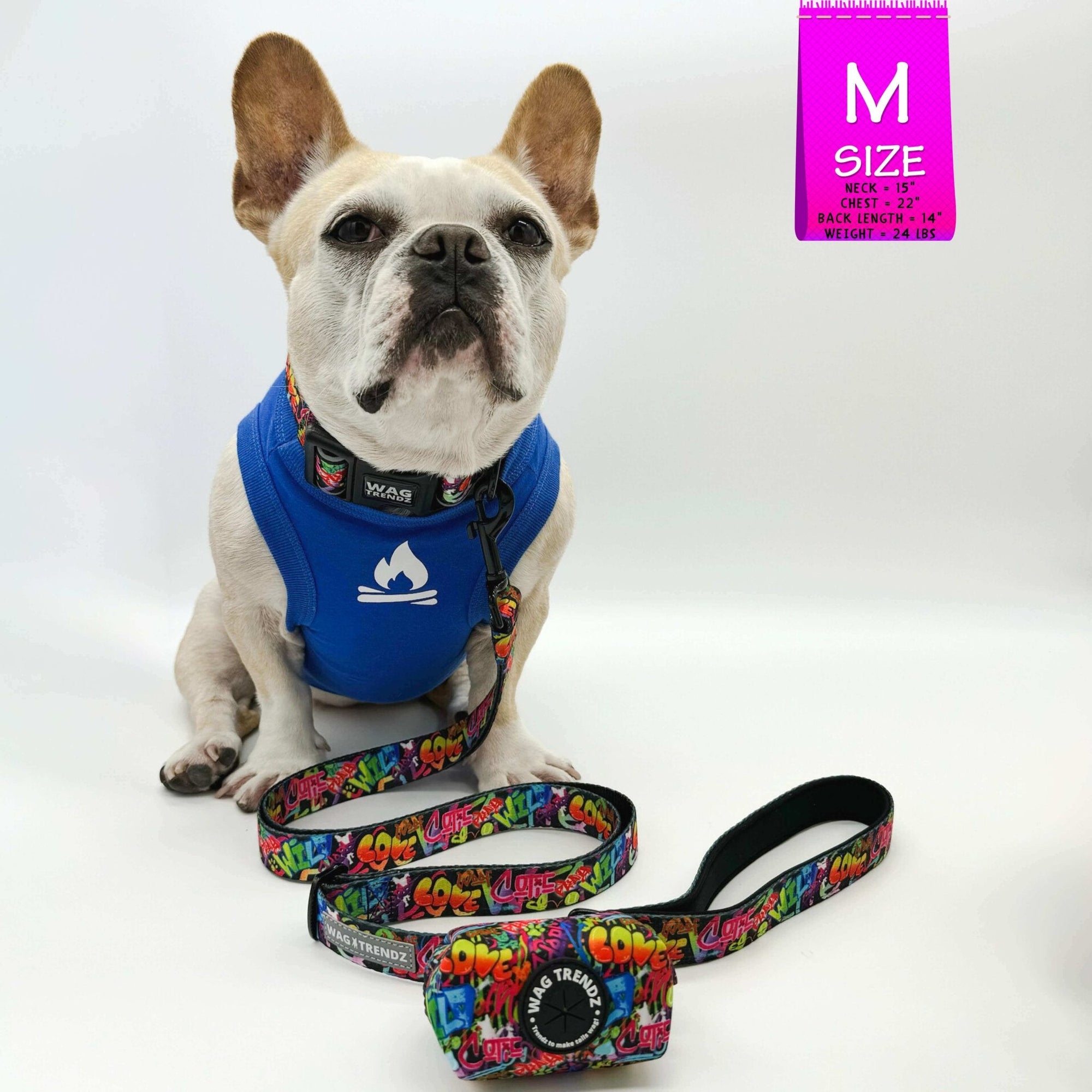 Reflective Dog Collar - Frenchie Bulldog wearing blue dog t-shirt and a multicolored Street Graffiti Reflective Dog Collar size medium with matching leash and poop bag holder attached - against solid white background - Wag Trendz