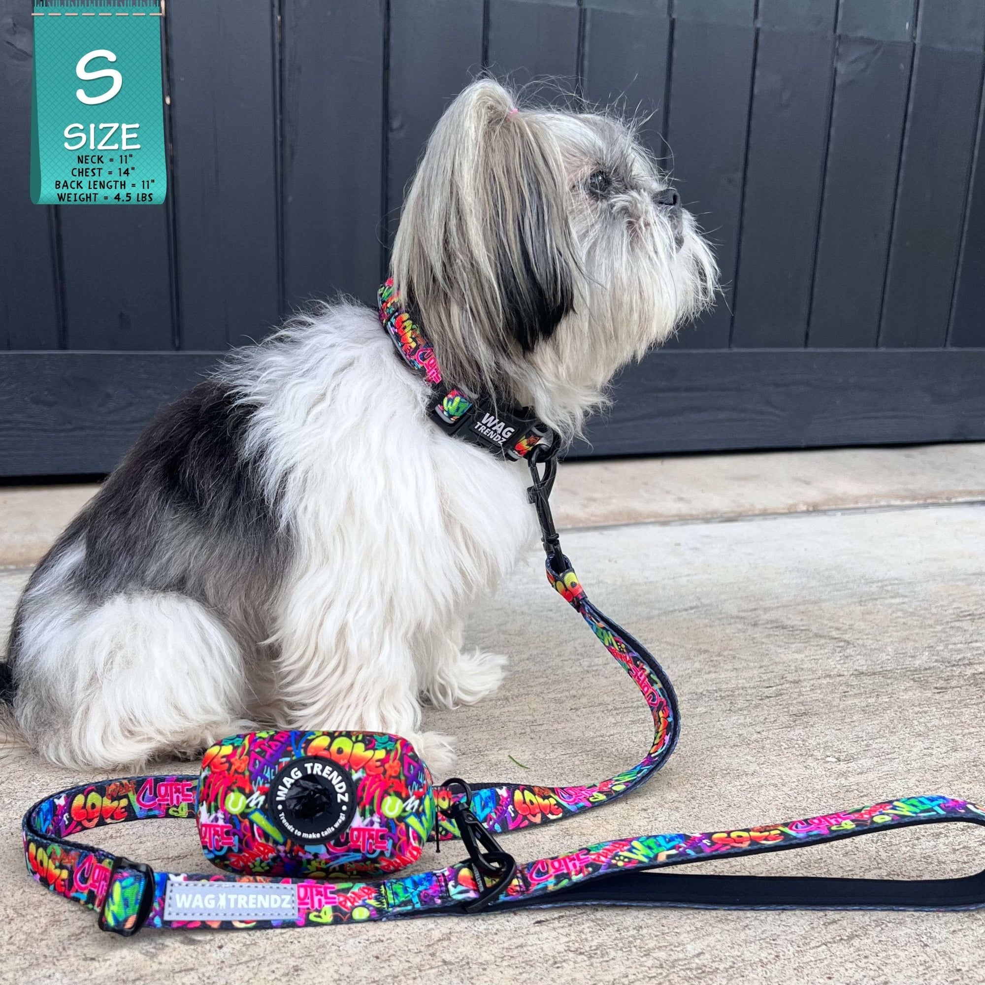 Reflective Dog Collar - Small Dog wearing multicolored Street Graffiti Reflective Dog Collar size small with matching leash and poop bag holder attached - sitting outdoors on concrete - Wag Trendz