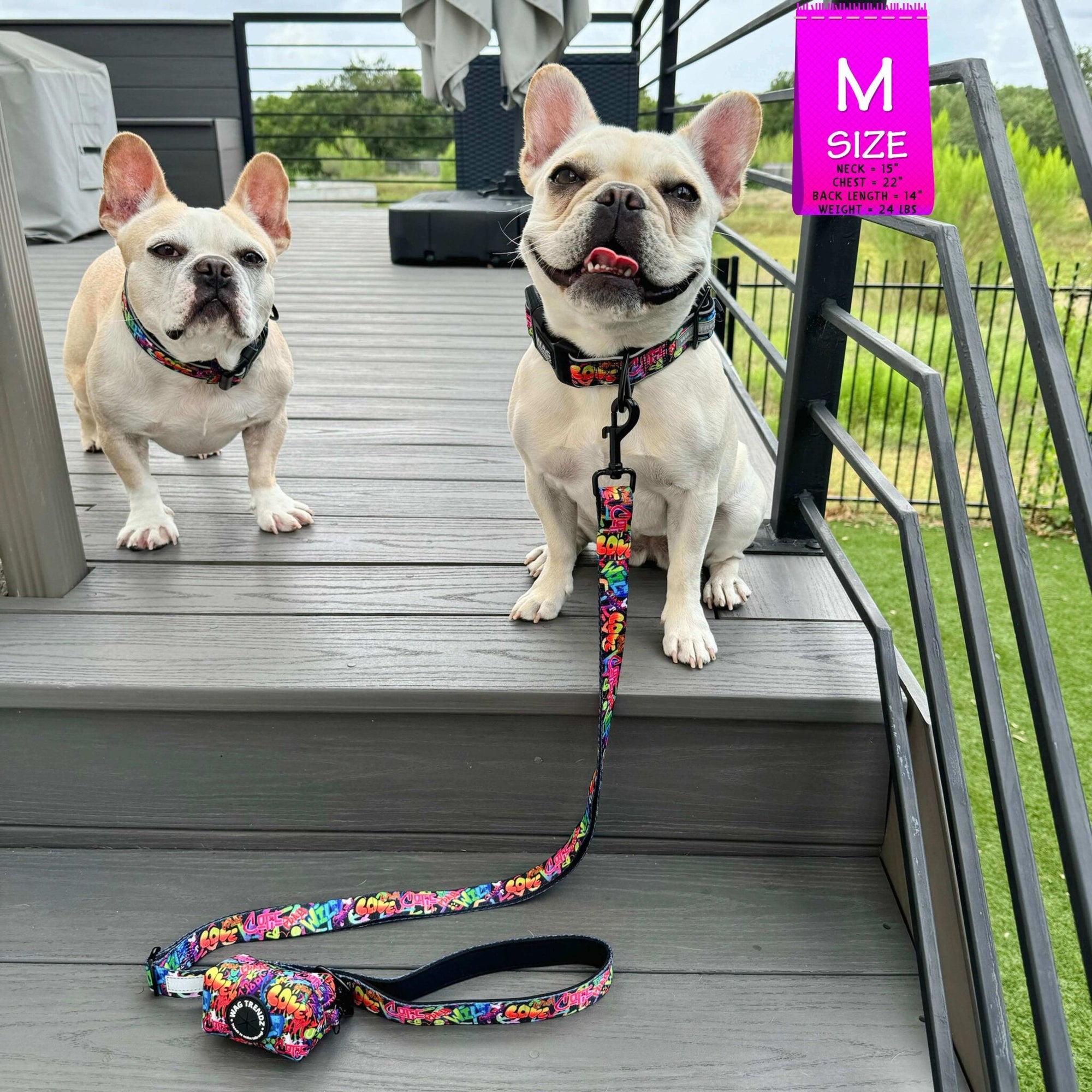 Reflective Dog Collar - Two French Bulldogs wearing multicolored Street Graffiti Reflective Dog Collars size medium with matching leash and poop bag holder attached - standing outdoors on a gray deck - Wag Trendz