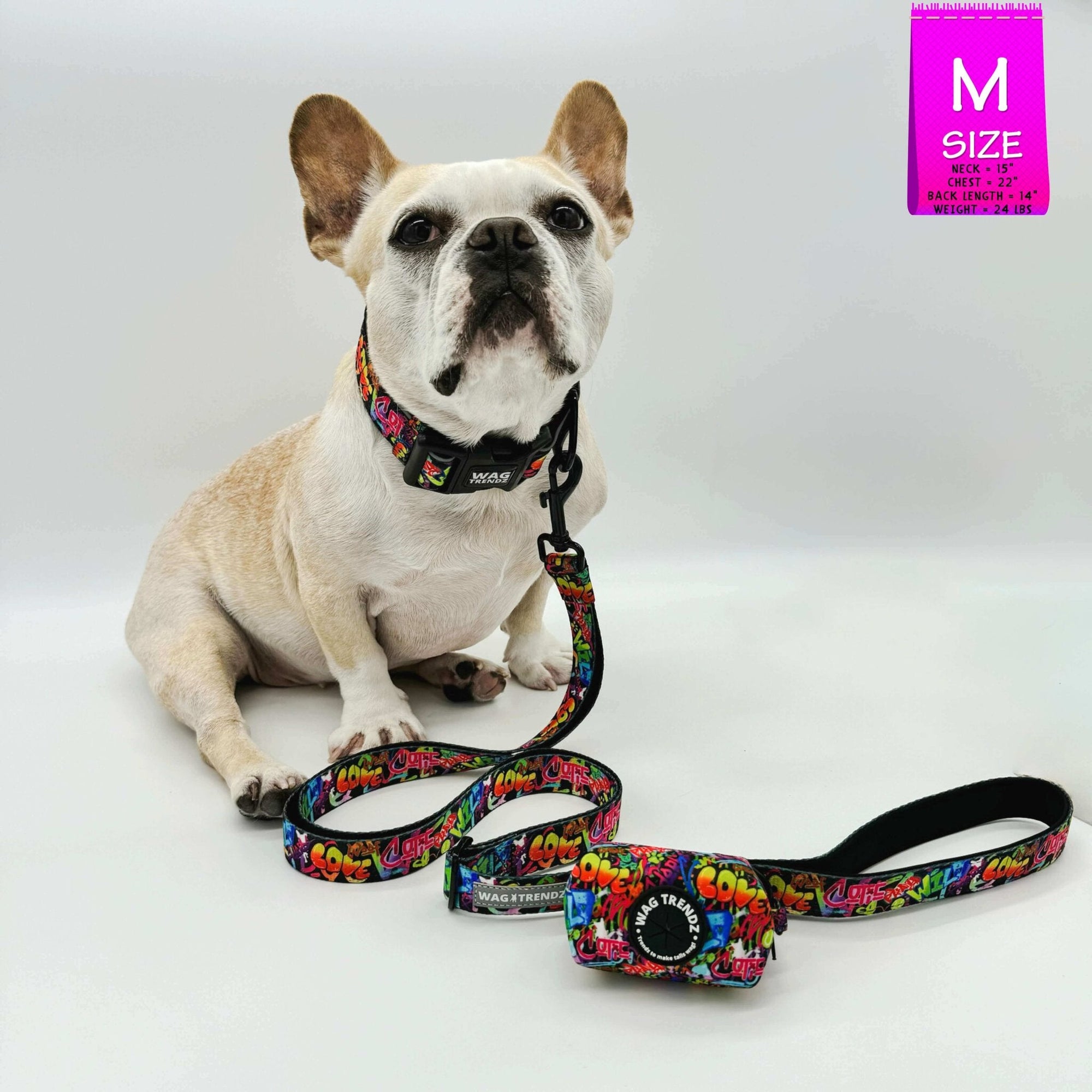 Reflective Dog Collar - Frenchie Bulldog wearing multicolored Street Graffiti Reflective Dog Collar size medium with matching leash and poop bag holder attached - against solid white background - Wag Trendz