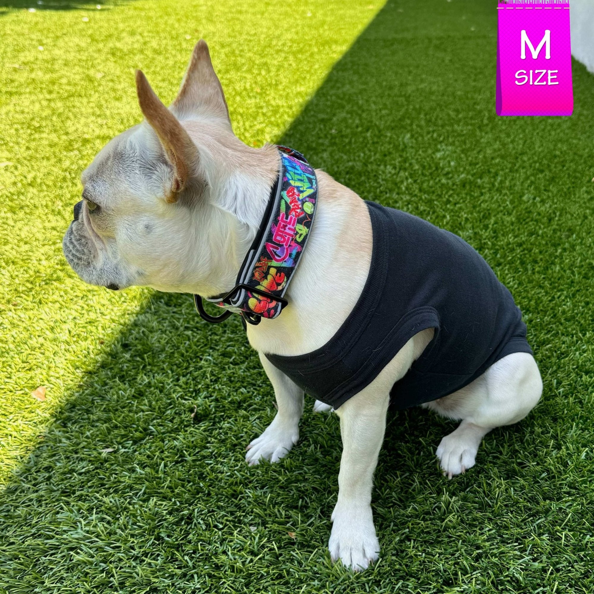 Reflective Dog Collar - Frenchie Bulldog wearing a black dog t-shirt and a multicolored Street Graffiti Reflective Dog Collar size medium - standing outdoors in the grass - Wag Trendz