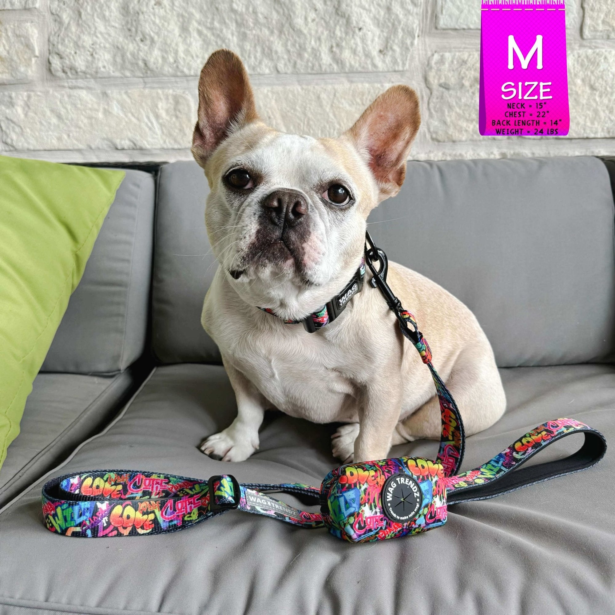 Reflective Dog Collar - French Bulldog wearing multicolored Street Graffiti Reflective Dog Collar size medium with matching leash and poop bag holder attached - sitting outdoors on a gray couch - Wag Trendz