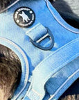 Dog Harness With Handle - No Pull - large size dog wearing a Downtown Denim Dog Harness - close up of back side with handle - Wag Trendz