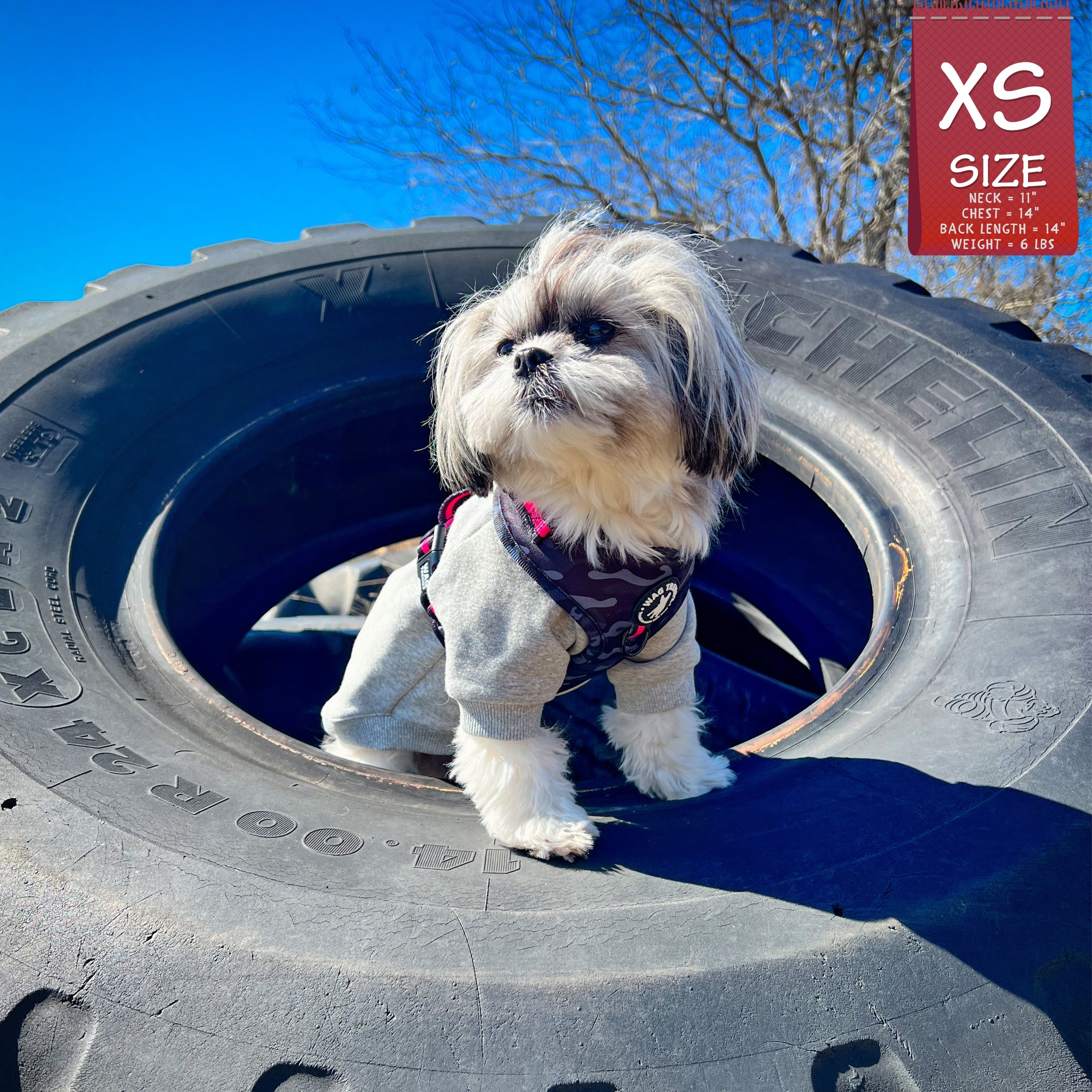 Dog Harness and Leash Set - Shih Tzu wearing black &amp; gray camo dog harness with Pink Accents - standing in a black tire with blue sky - Wag Trendz