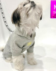 Dog hoodie - Hoodies For Dogs - Shih Tzu looking up wearing "Sunny Days" dog hoodie in gray - front view with modern yellow sunshine emoji and dog leash attached through leash hole - against solid white background - Wag Trendz