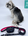 H Dog Harness - Roman Dog Harness - Shih Tzu mix wearing small black and gray camo harness with bold hot pink accents and matching dog leash and poop bag holder - against a solid white background - side view - Wag Trendz