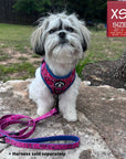 Adjustable Dog Leash - Shih Tzu mix wearing Bandana Boujee with Denim Accents in Hot Pink dog harness with adjustable leash attached - sitting on a rock outdoors facing camera - Wag Trendz