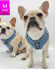 Denim Dog Harness - Reflective and No Pull - French Bulldogs wearing Downtown Denim Dog Harness with Reflective Accents - against solid white background - Wag Trendz