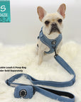 Denim Dog Harness - Reflective and No Pull - French Bulldog wearing a small Downtown Denim Dog Harness with reflective accents and matching leash and poop bag holder attached - against solid white background - Wag Trendz