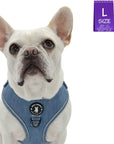Denim Dog Harness - Reflective and No Pull - French Bulldog wearing Downtown Denim Reflective Dog Harness with Reflective Accents - against solid white background - Wag Trendz