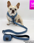Denim Dog Harness - Reflective and No Pull - French Bulldog wearing a medium Downtown Denim Dog Harness with reflective accents and matching leash and poop bag holder attached - against solid white background - Wag Trendz