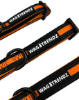 Dog Collar and Leash Set - black dog collars in small, medium and large with a bold orange stripe - against solid white background - Wag Trendz
