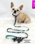 Dog Collar and Leash Set - French Bulldog wearing Medium Dog Collar and Leash in black with white paint splatter and bold teal stripe with matching Poop Bag Holder - against solid white background - Wag Trendz