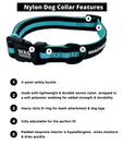 Dog Collar and Leash Set - Dog Collar in solid black with bold teal stripe - with product feature captions - against solid white background - Wag Trendz