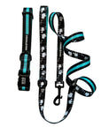Dog Collar and Leash Set - Dog Collar and Leash in black with white paint splatter and bold teal stripe - against solid white background - Wag Trendz
