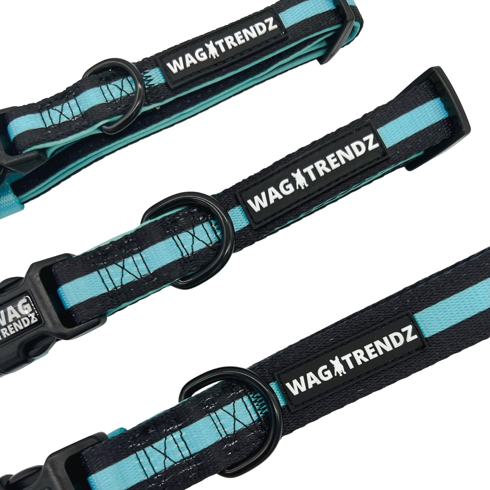 Dog Collar and Leash Set - Small Medium and Large Dog Collar in solid black with bold teal stripe - against solid white background - Wag Trendz