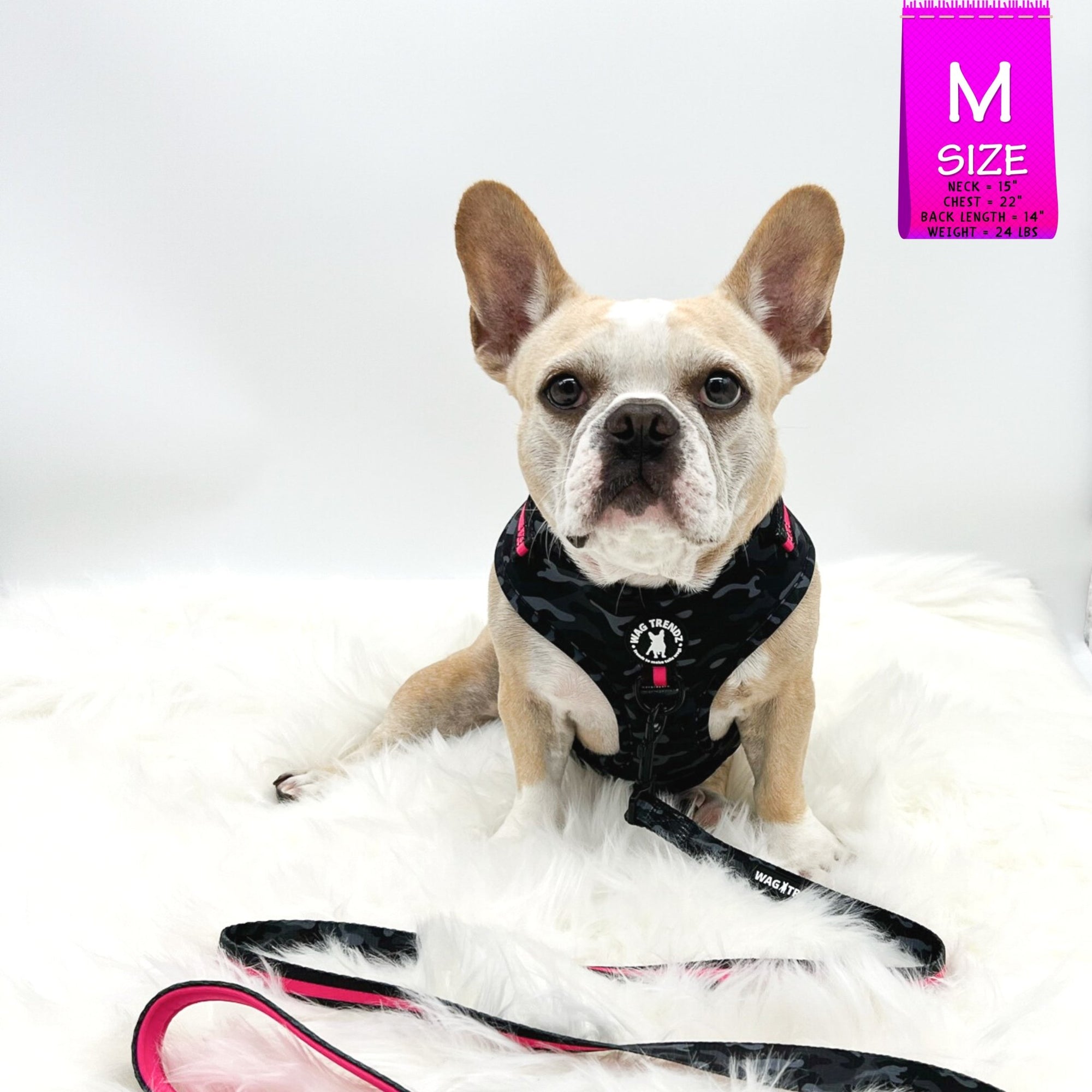 Dog Collar Harness and Leash Set - French Bulldog wearing Medium Dog Adjustable Harness with matching Dog Leash in black &amp; gray camo with hot pink accents - against solid white background - Wag Trendz