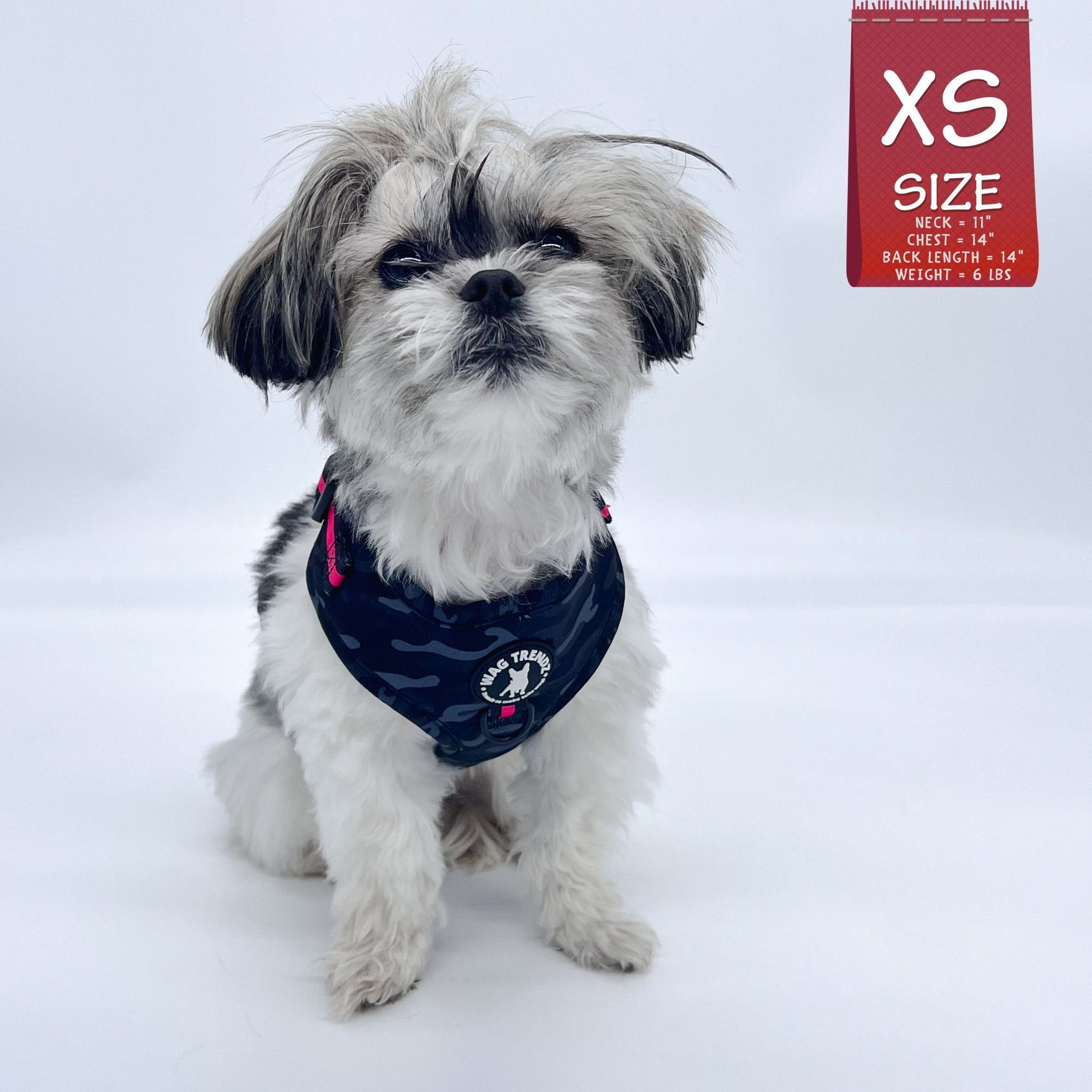 Dog Collar Harness and Leash Set - Shih Tzu mix wearing XS Dog Adjustable Harness in black &amp; gray camo with hot pink accents - against solid white background - Wag Trendz