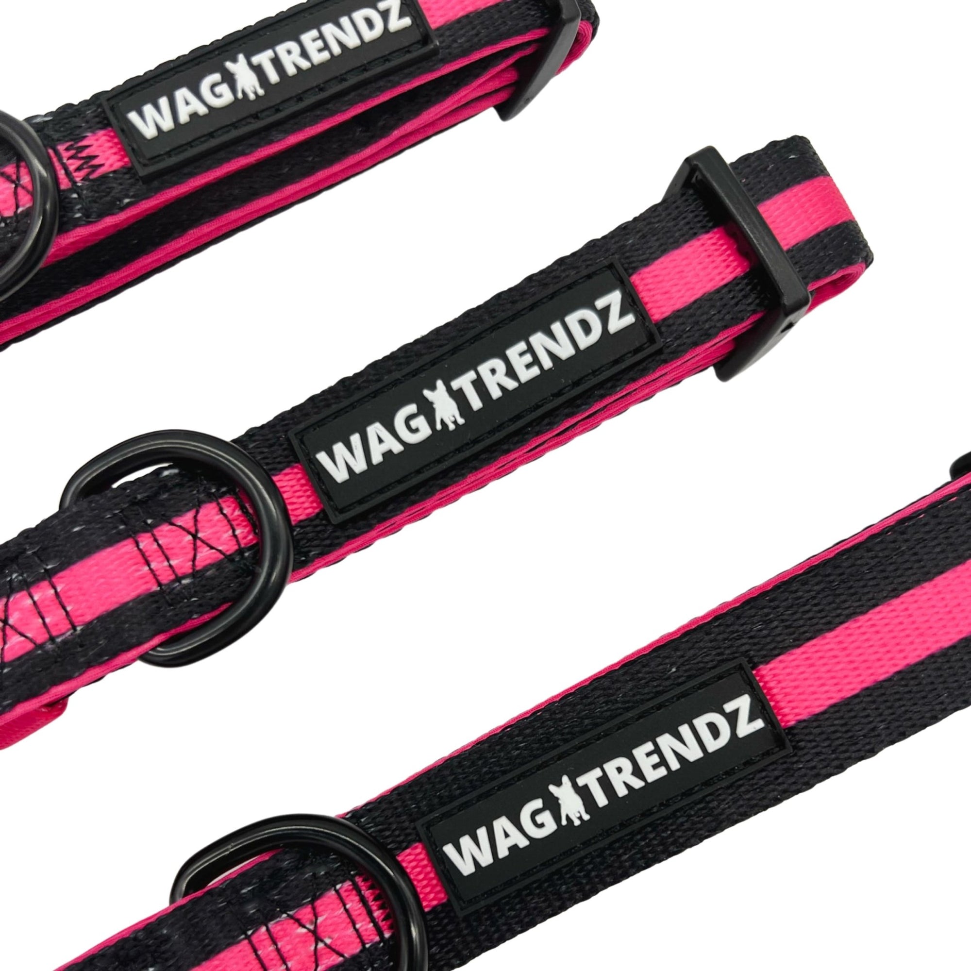 Dog Collar Harness and Leash Set - Small Medium and Large Dog Collars in solid black with hot pink stripe - against solid white background - Wag Trendz