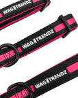 Dog Collar Harness and Leash Set - Small Medium and Large Dog Collars in solid black with hot pink stripe - against solid white background - Wag Trendz