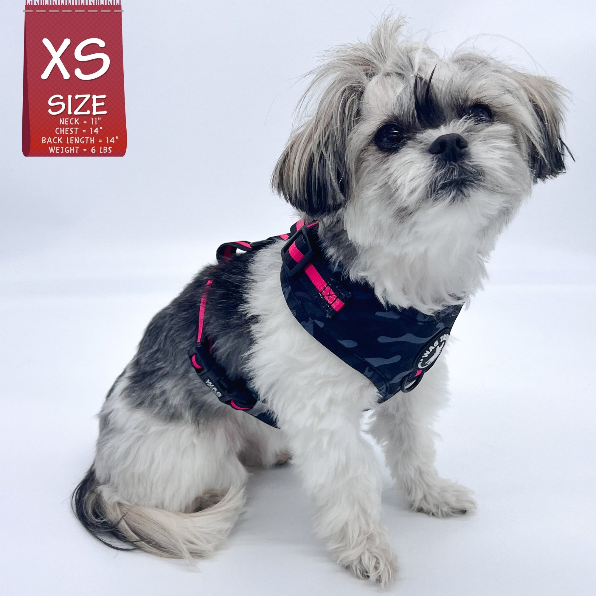 Dog Collar Harness and Leash Set - Shih Tzu mix wearing XS Dog Adjustable Harness in black &amp; gray camo with hot pink accents - against solid white background - Wag Trendz