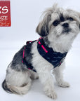 Dog Collar Harness and Leash Set - Shih Tzu mix wearing XS Dog Adjustable Harness in black & gray camo with hot pink accents - against solid white background - Wag Trendz
