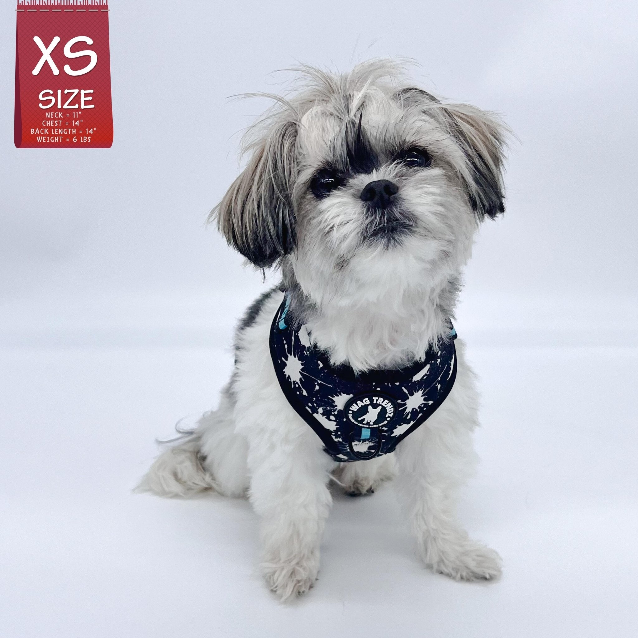 Julius k9 harness outlet shih tzu