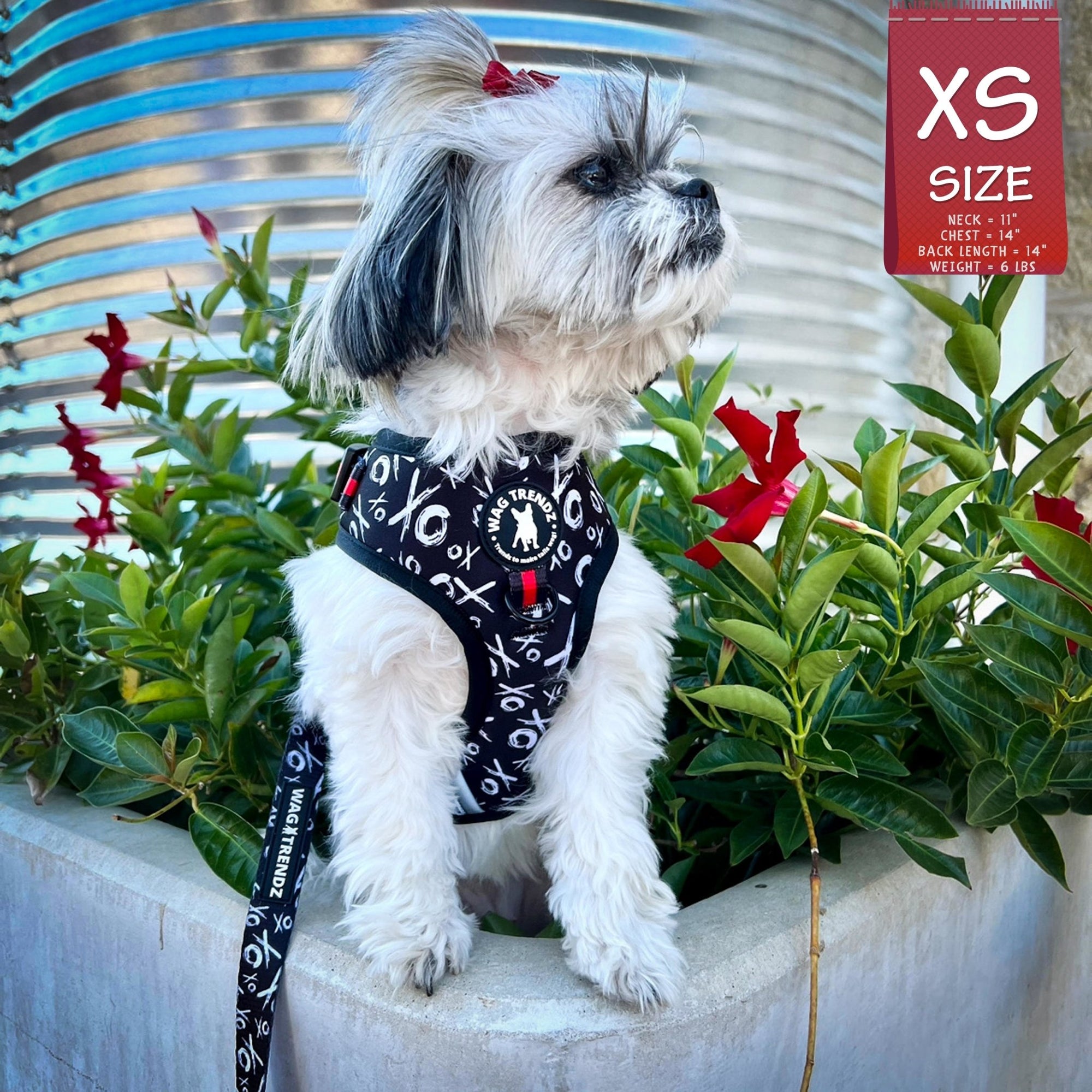 Dog Collar Harness and Leash Set - Small Dog wearing Dog Adjustable Harness in black and white XO&#39;s with bold red accents and matching leash attached - standing in red and green flowers with metal silo in background - Wag Trendz