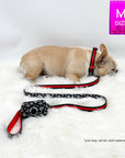 Dog Collar Harness and Leash Set - French Bulldog wearing Dog Collar in black and white XO's with bold red accents - with matching leash and Poop Bag Holder - against solid white background - Wag Trendz