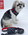 Dog Collar Harness and Leash Set - Shih Tzu mix wearing XS Dog Adjustable Harness in black and white XO's with bold Red accents with matching Dog Leash and Collar - against solid white background - Wag Trendz