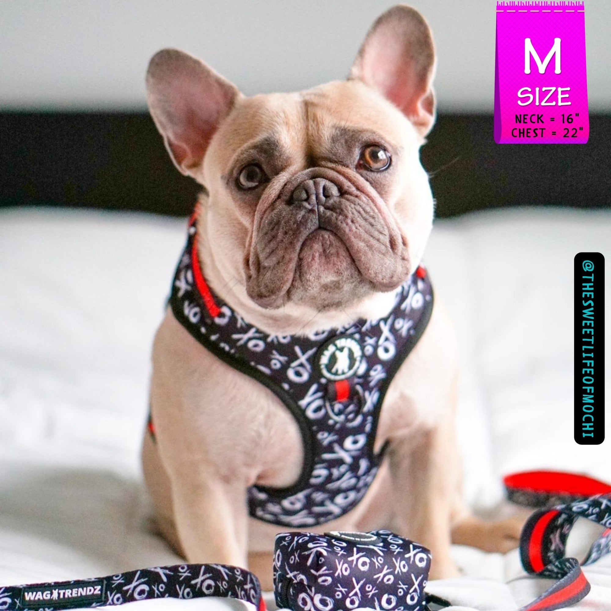 Dog Collar Harness and Leash Set - French Bulldog wearing Dog Adjustable Harness in black and white XO&#39;s with bold red accents - with matching leash and poop bag holder attached - sitting indoors - Wag Trendz