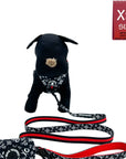 Dog Collar Harness and Leash Set - Small Dog wearing Dog Adjustable Harness in black and white XO's with bold red stripe and matching leash and poop bag holder attached - against solid white background - Wag Trendz