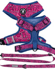 Dog Harness and Leash Set - Bandana Boujee Dog Harness and Leash in Hot Pink  with Denim Accents - against solid white background - Wag Trendz