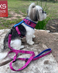 Dog Harness and Leash Set - Small breed dog wearing Bandana Boujee Dog Harness with attached leash in Hot Pink with Denim Accents - side view sitting outdoors on a rock - Wag Trendz