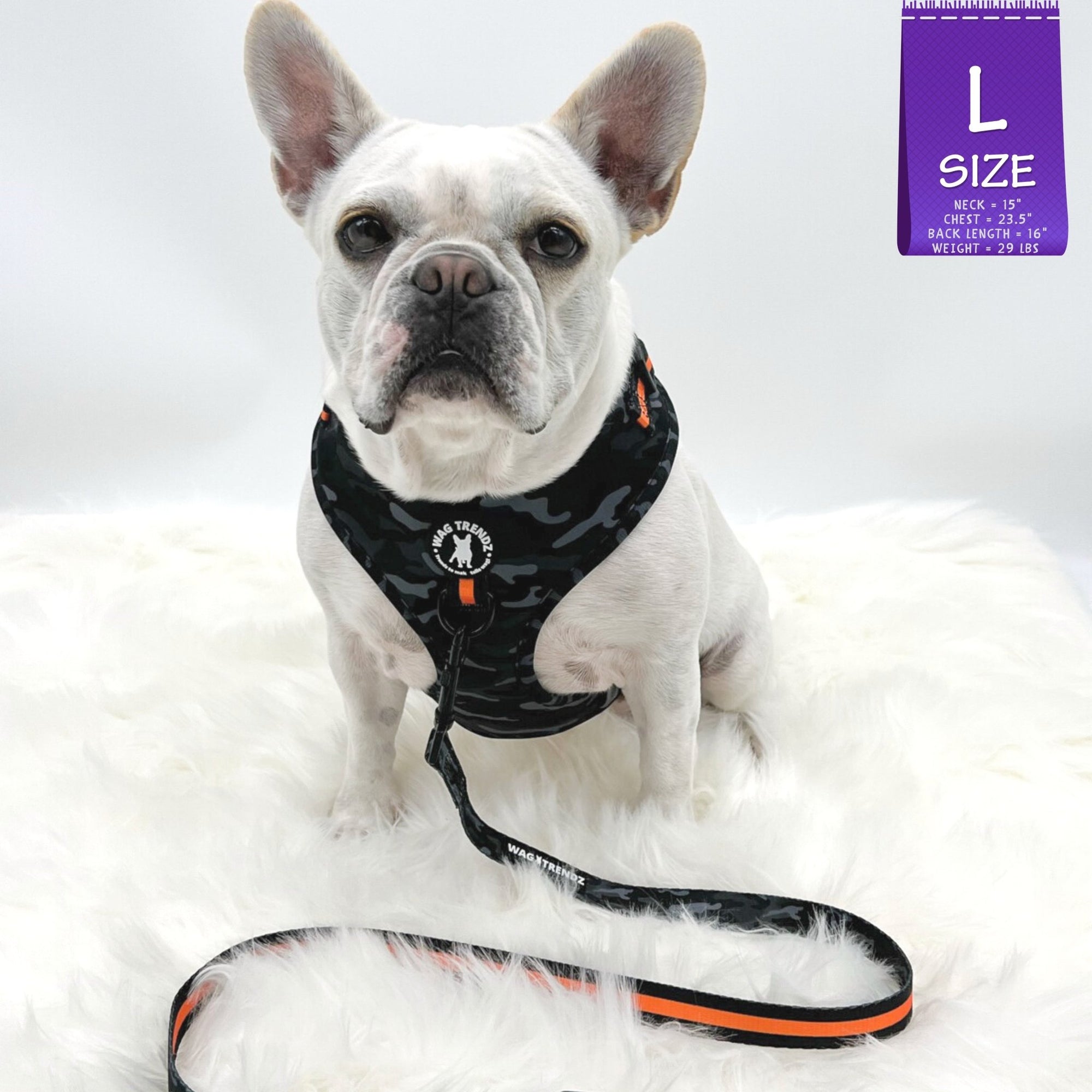 Dog Harness and Leash Set - French Bulldog wearing Black &amp; Gray camo dog harness with Orange Accents and Matching Dog Leash attached - against solid white background - Wag Trendz