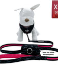 Dog Harness and Leash Set - white stuffed dog wearing black & gray camo dog harness with Pink Accents and Matching Dog Leash and poop bag holder attached - against solid white background - Wag Trendz