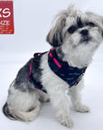 Dog Harness and Leash Set - Shih Tzu wearing black & gray camo dog harness with Pink Accents - against solid white background - Wag Trendz