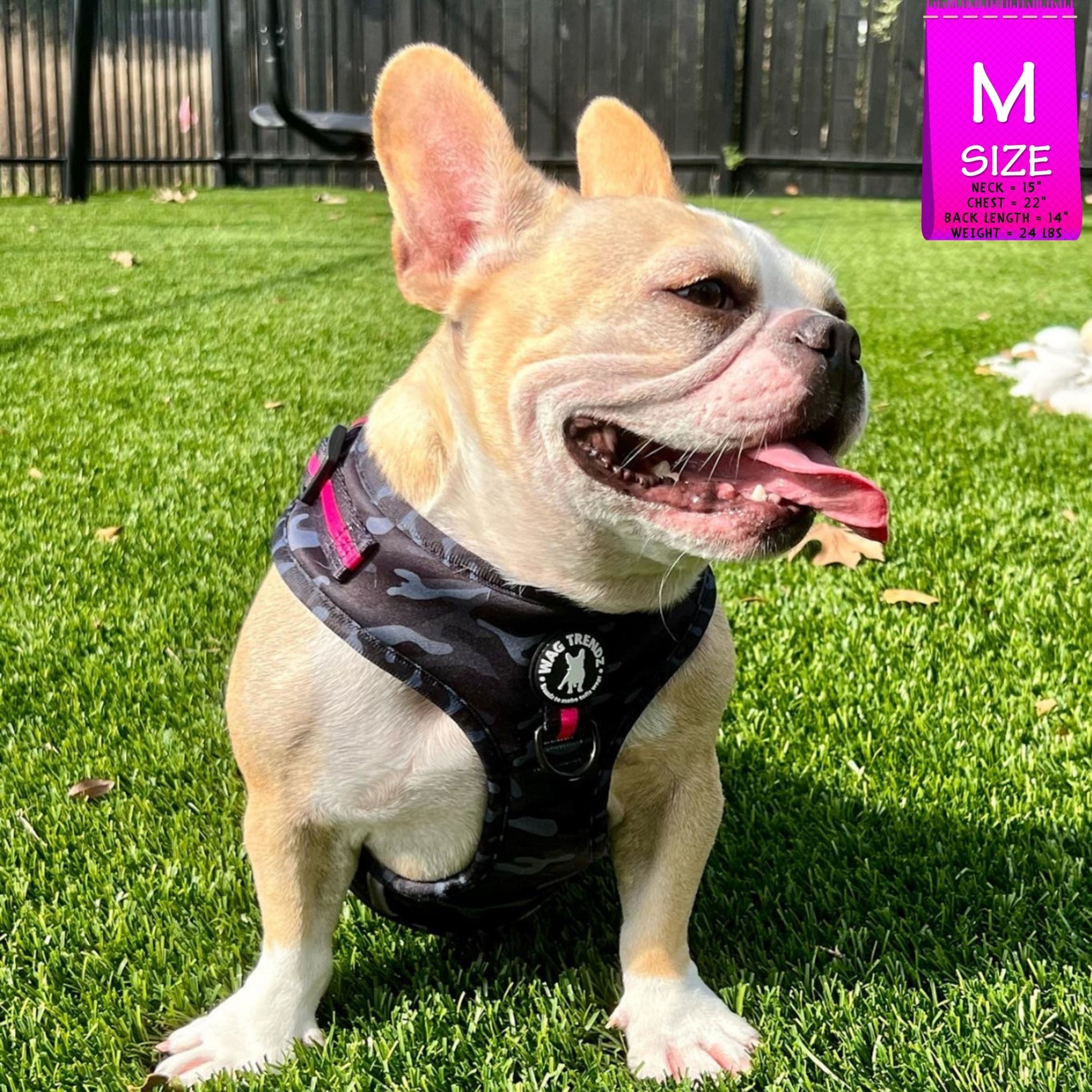 Dog Harness and Leash Set - French Bulldog wearing black &amp; gray camo dog harness with Pink Accents and Matching Dog Leash and poop bag holder attached - outdoors sitting and panting in the grass - Wag Trendz