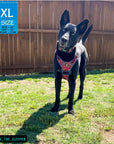 Dog Harness and Leash Set - German Shepherd mix wearing Bandana Boujee Dog Harness in Red with Denim Accents - standing outdoors in green grass - Wag Trendz