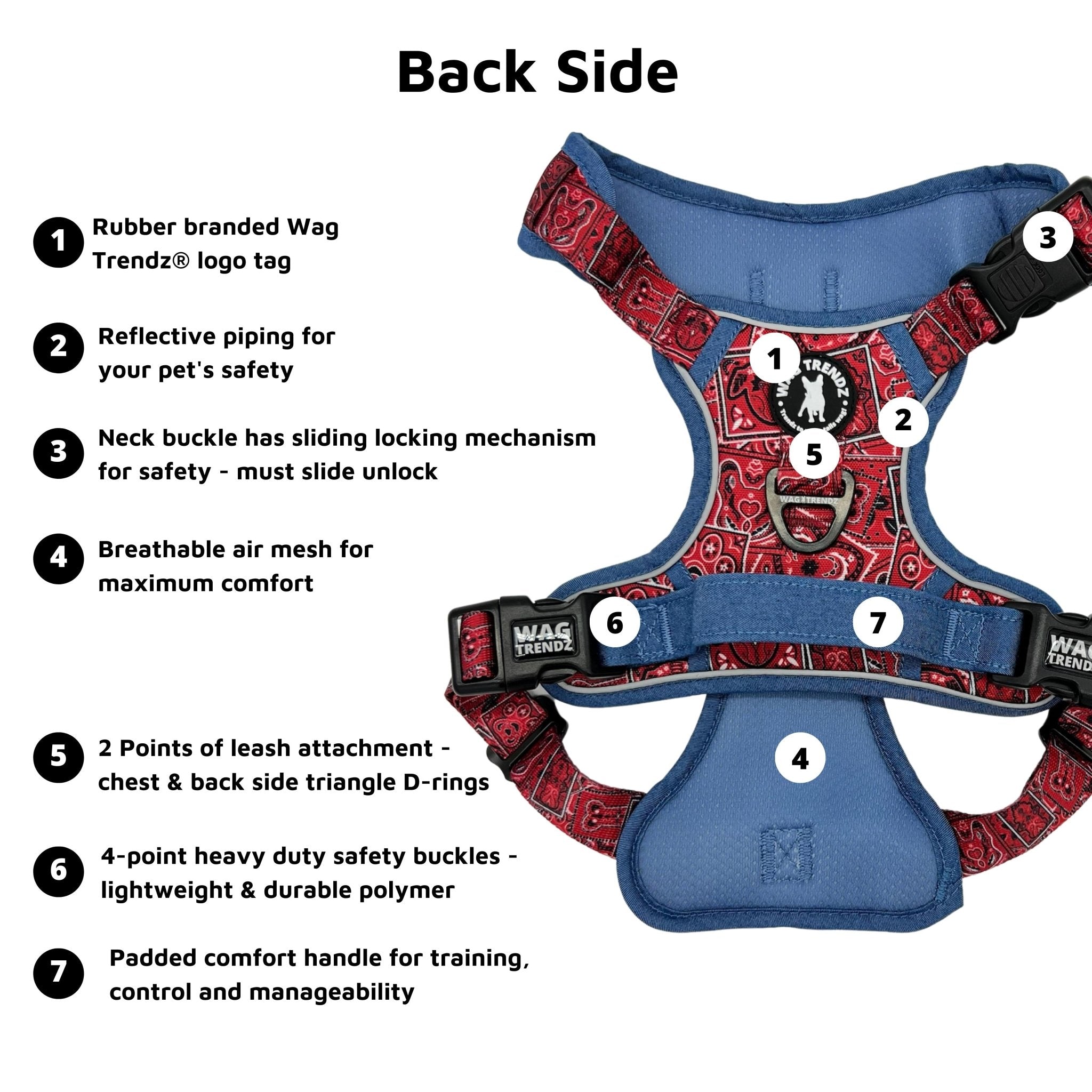 2 Point Full Body Harness | Rear & Chest Attachment Points