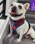 Dog Harness and Leash Set - French Bulldog wearing Bandana Boujee Dog Harness in Red with Denim Accents & matching reflective dog collar - sitting indoors on gray carpeted stairs- Wag Trendz