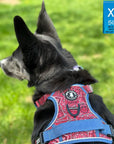 Dog Harness and Leash Set - mix breed black dog wearing Bandana Boujee Dog Harness in Red with Denim Accents - standing outdoors in green grass - Wag Trendz