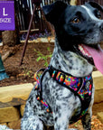 Dog Harness and Leash Set - No Pull - Handle - cattle dog mix wearing multi colored Street Graffiti dog harness - chestside view - sitting outdoors panting - Wag Trendz