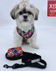 Dog Harness and Leash Set - Shih Tzu mix wearing multi-colored Street Graffiti  Dog Harness Vest with medium black adjustable dog leash and matching graffiti poop bag holder - against a solid white background - Wag Trendz