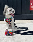 Dog Harness and Leash Set - Shih Tzu mix wearing XS Dog Harness Vest in multi-colored street graffiti with medium black adjustable dog leash and matching Graffiti Poop Bag Holder attached - sitting outdoors on concrete with black wood wall in background  - Wag Trendz