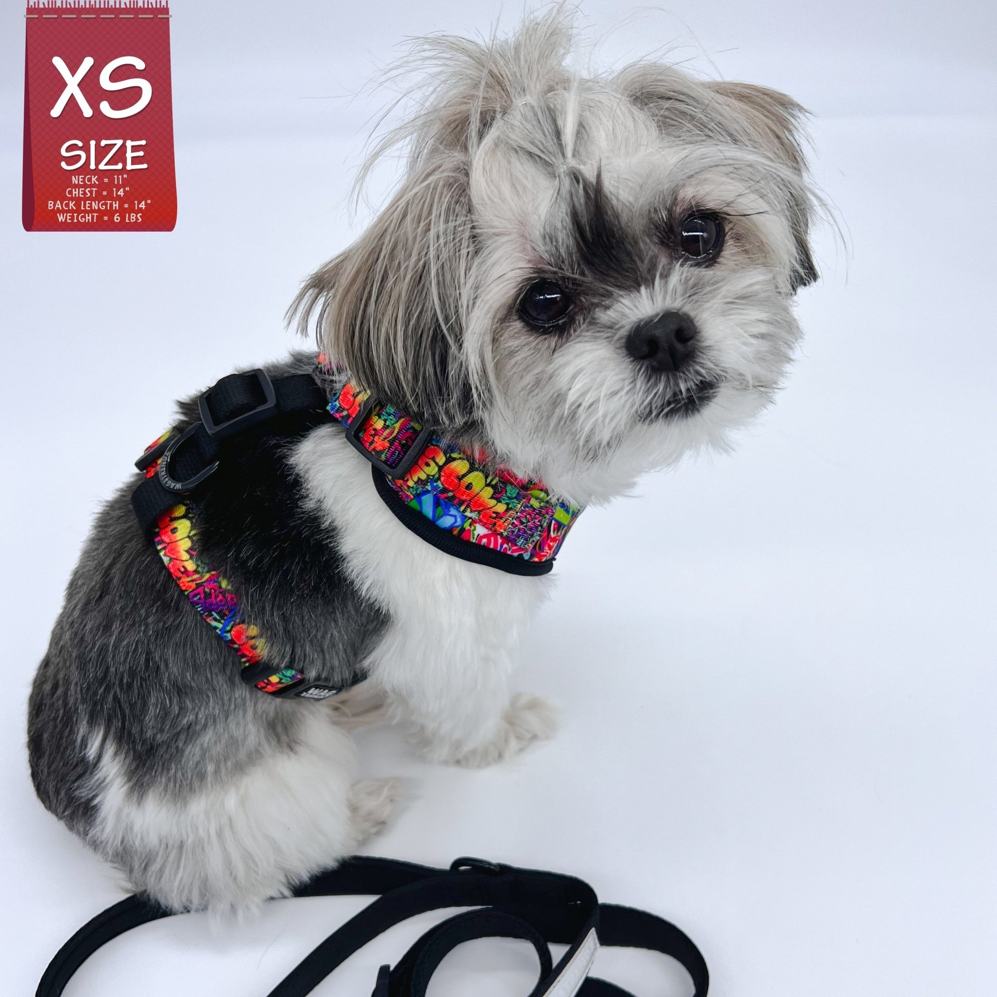 Dog Harness and Leash Set - Shih Tzu mix wearing multi-colored Street Graffiti  Dog Harness Vest- with medium black adjustable dog leash - against a solid white background - Wag Trendz