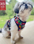 Dog Harness and Leash Set - Shih Tzu mix wearing XS Dog Harness Vest in multi-colored Street Graffiti - sitting outdoors - Wag Trendz