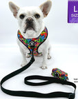 Dog Harness and Leash Set - French Bulldog wearing a multi-colored Street Graffiti Dog Harness Vest with medium solid black adjustable dog leash and Graffiti Poo Bag Holder attached - against a solid white background - Wag Trendz