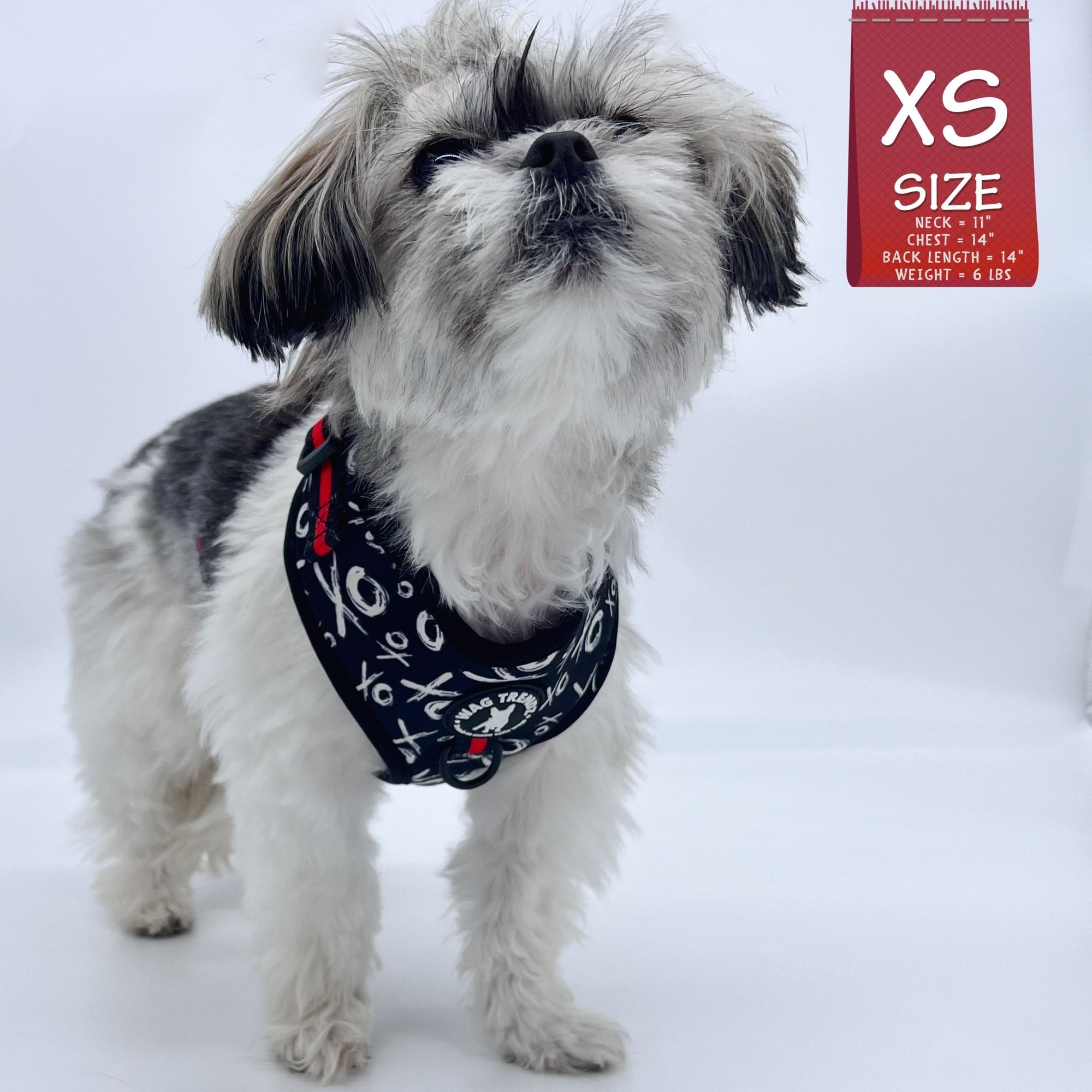 Dog Harness Vests - Adjustable - Front Clip - cute black and white small dog wearing black harness with white XO&#39;s and red accents  - against a solid white background - Wag Trendz